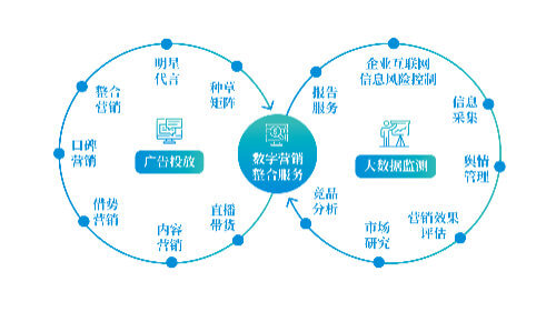 娃哈哈营销策划案的模板